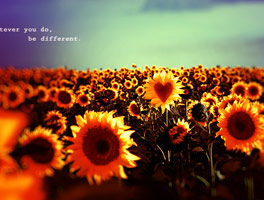 ddos攻击测试工具